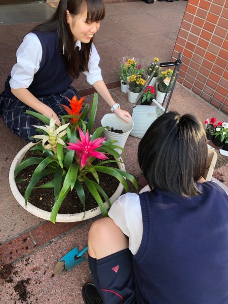 花壇の植え替え 環境委員会 英理女子学院高等学校