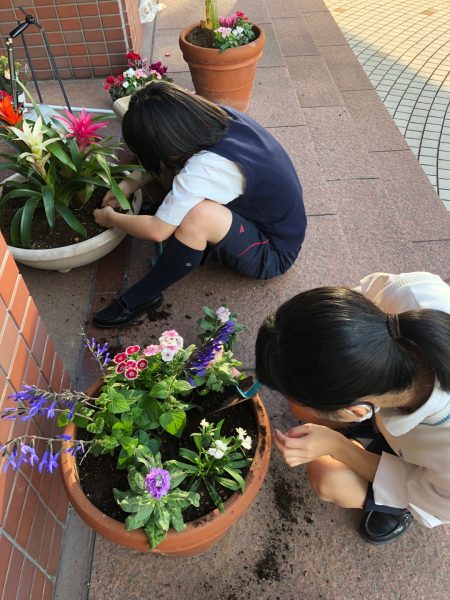 花壇の植え替え 環境委員会 高木学園女子高等学校