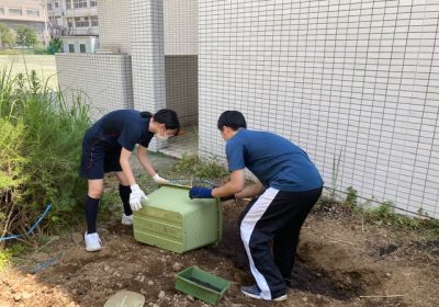 プランターの土を