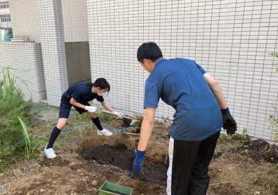 堀った場所に入れ