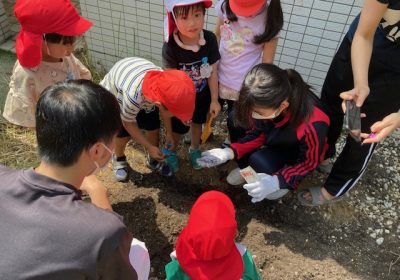 大地に植える班