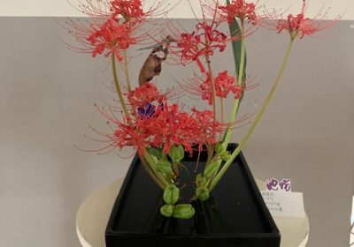 さっそく華道部がいけてくれたようです