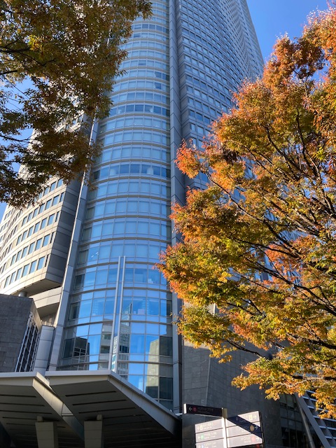 六本木ヒルズにも秋が…