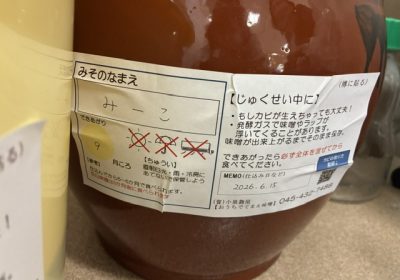 みーこ