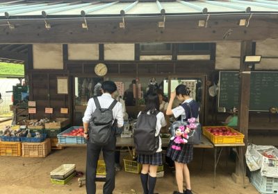 わー！野菜が新鮮！